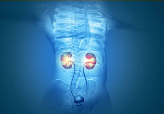 Urology - ARHI Hospital