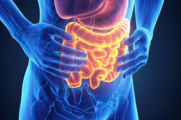 Gastroenterology - ARHI Hospital